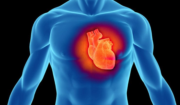Մտահոգիչ թվեր. սրտի իշեմիկ հիվանդությունից և սրտամկանի ինֆարկտից միայն հունվարին մահացել է 1638 մարդ. «Ժողովուրդ»