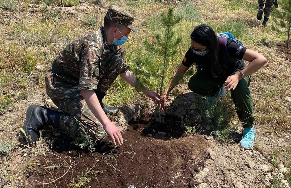 Օտարերկրացի ապագա բժիշկները 100+33 ծառ տնկեցին «Եռաբլուր» զինվորական պանթեոնում