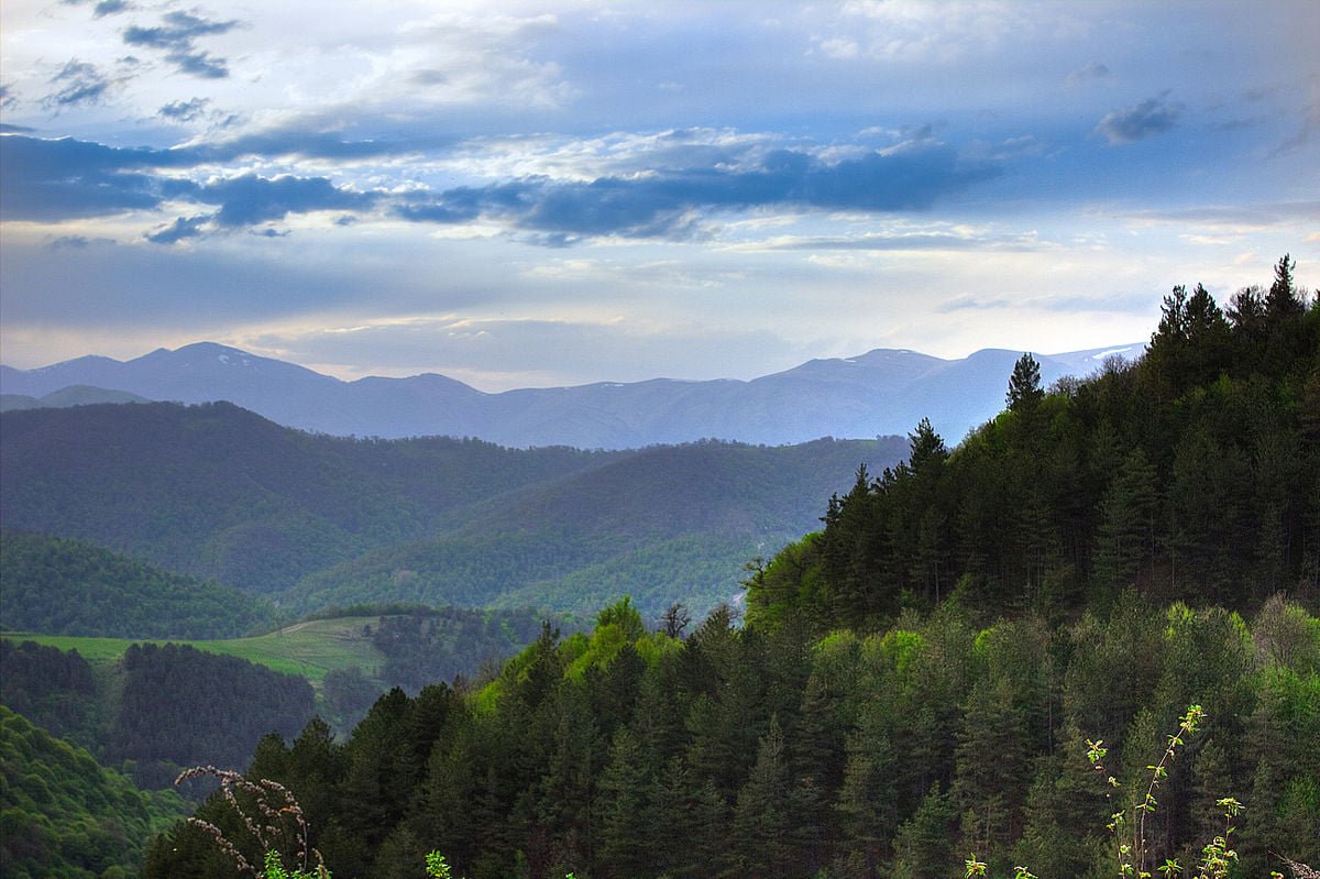 Առաջիկա 8 տարիներին Հայաստանում 18,7 միլիոն ԱՄՆ դոլարի ներդրում կարվի՝ նոր անտառային տարածքներ հիմնելու համար