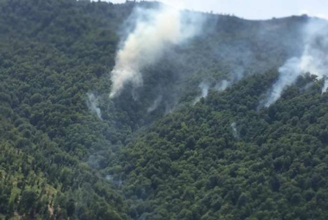 Ադրբեջանում այրվում են հարավային շրջանների անտառները