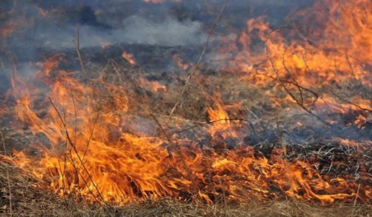 Չորաթանում այրվել է 15 հա խոտածածկույթ
