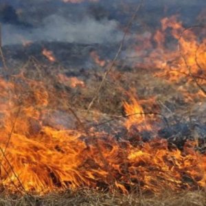 Չորաթանում այրվել է 15 հա խոտածածկույթ