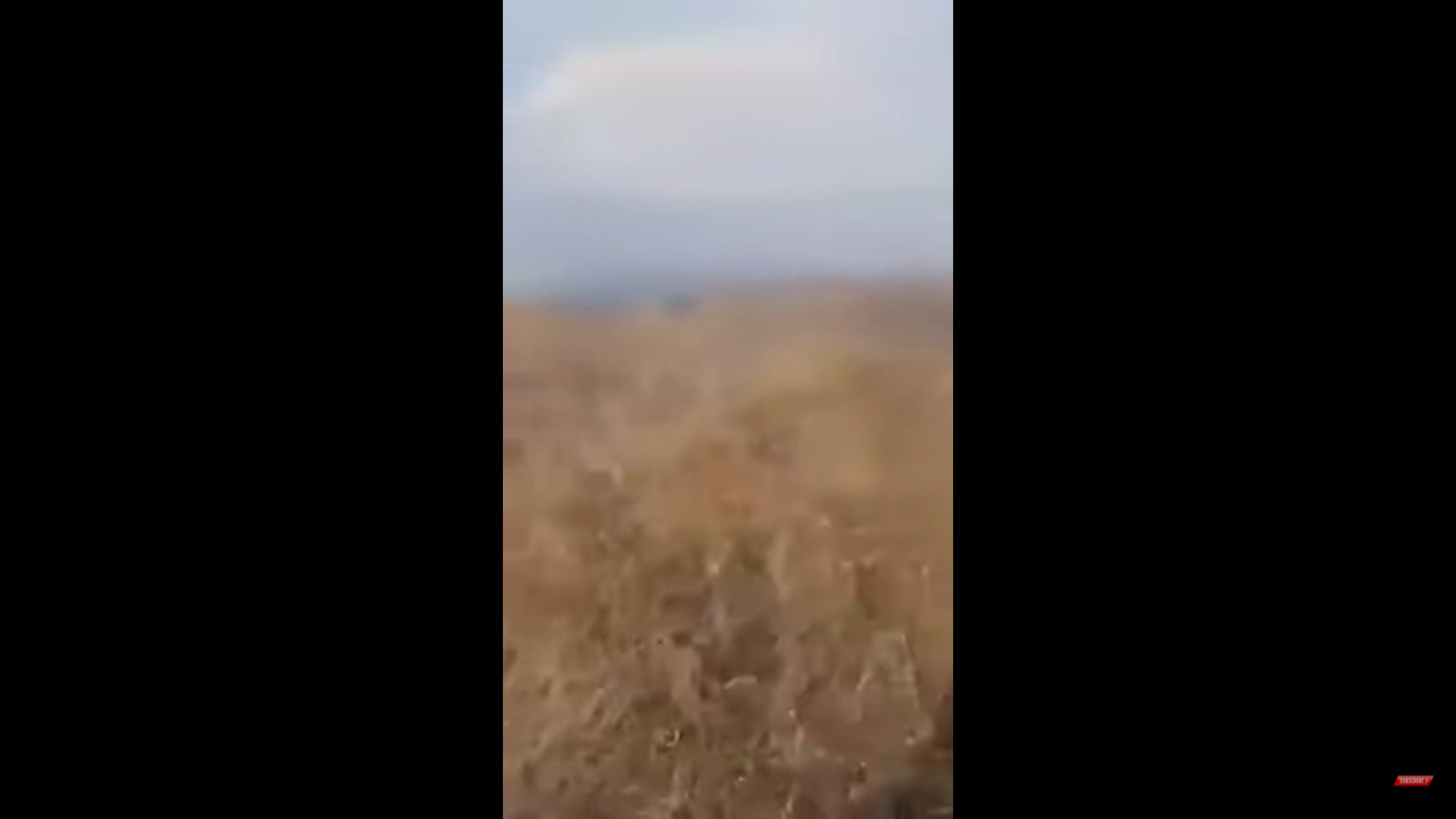 Ադրբեջանցի զինծառայողները հրկիզել են Գեղարքունիքի 2 գյուղերի մերձակա տարածքները. ՄԻՊ․ Տեսանյութ