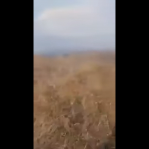 Ադրբեջանցի զինծառայողները հրկիզել են Գեղարքունիքի 2 գյուղերի մերձակա տարածքները. ՄԻՊ․ Տեսանյութ