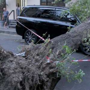 Երևանում ծառն ընկել է՝ վնասելով բակում կայանած երկու ավտոմեքենա