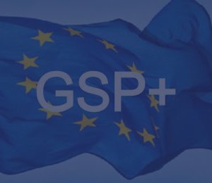 Հայաստանը հունվարի 1-ից չի օգտվի ԵՄ GSP+ արտոնյալ առևտրային ռեժիմից