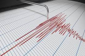 Շորժա գյուղից 2 կմ հյուսիս-արևելք 4-5 բալ  ուժգնությամբ երկրաշարժ է տեղի ունեցել