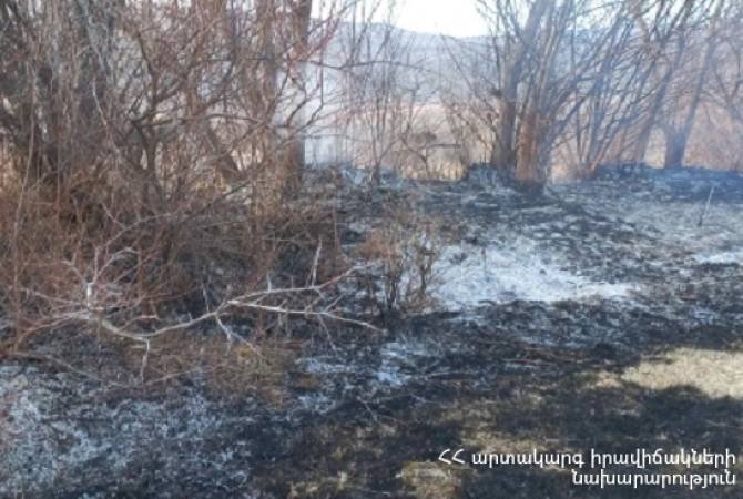 Փարպի գյուղի հանդամասում այրվել է մոտ 10 հա խոտածածկույթ և ջերմահարվել մոտ 200 պտղատու ծառ