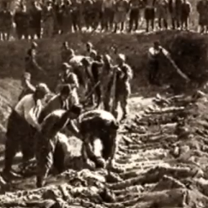 Բացառիկ կադրեր հայոց ցեղասպանության մասին գերմանական արխիվից․ ինչ և ինչպես է եղել 1915-ին․ А1+
