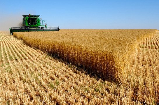 Կանխատեսումների համաձայն՝ 2022 թ․ ՀՀ-ում ցորենի սպառման ծավալը կկազմի 377 հազար տոննա