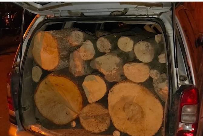 Լոռու պարեկները հայտնաբերել են ապօրինի փայտանյութով բարձված ավելի քան 10 ավտոմեքենա