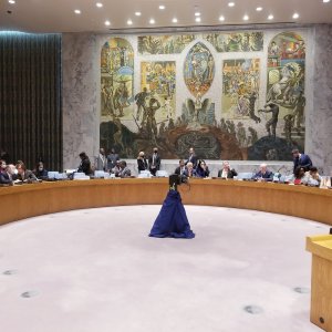 ՄԱԿ-ի Անվտանգության խորհրդում քիչ անց ելույթ կունենա Արարատ Միրզոյանը