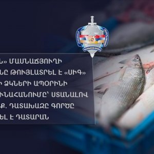 «Սևան» մասնաճյուղի տնօրենը թույլատրել է «Սիգ» տեսակի ձկների ապօրինի արդյունահանումը՝ ստանալով կաշառք. դատախազը գործը հանձնել է դատարան