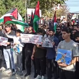 Հանրահավաք Մառնեուլիում՝ ի պաշտպանություն Պաղեստինի