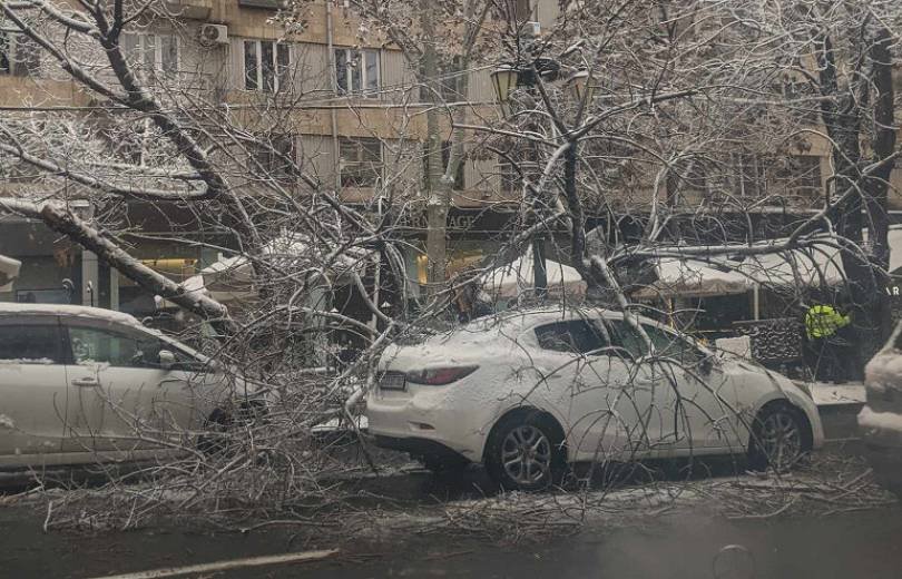 Աբովյան փողոցում հսկա ծառը կոտրվել ու ընկել է երթևեկող ավտոմեքենաների վրա՝ վնասելով դրանք
