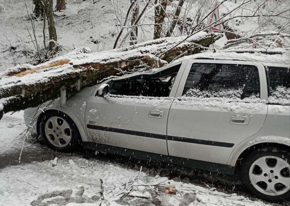 Ծառը կոտրվել ու ընկել է մեքենայի վրա