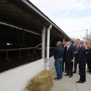 Նիկոլ Փաշինյանն այցելել է Սպիտակի «Հակոբ Կարապետյան» ՍՊԸ-ի ֆերմային տնտեսություն